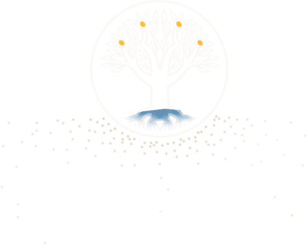 Der Lebensbaum, das Logo der Transzendentalen Meditation, trägt vier goldene Früchte