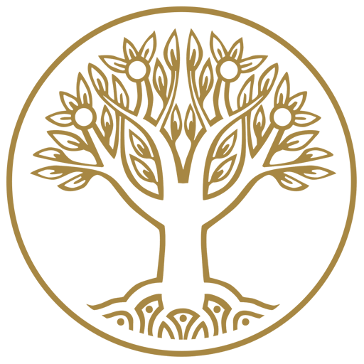 Logo Transzendentale Meditation