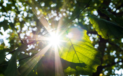 Lichttherapie im Ayurveda