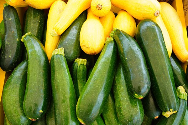 Eine Auswahl grüner und gelber Zucchini. Der Ayurveda empfiehlt diese kühlende Gemüsesorte.
